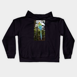 Harlequin Macaw Kids Hoodie